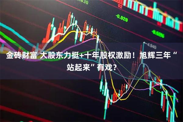 金砖财富 大股东力挺+十年股权激励！旭辉三年“站起来”有戏？