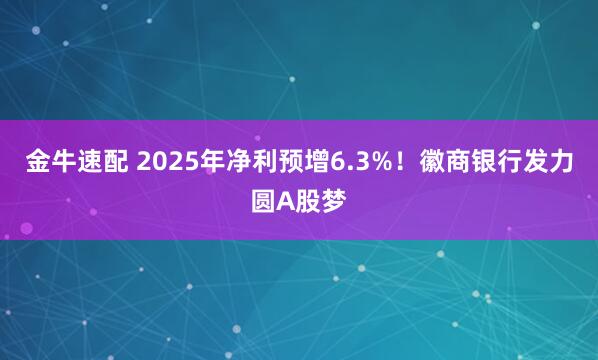 金牛速配 2025年净利预增6.3%！徽商银行发力圆A股梦